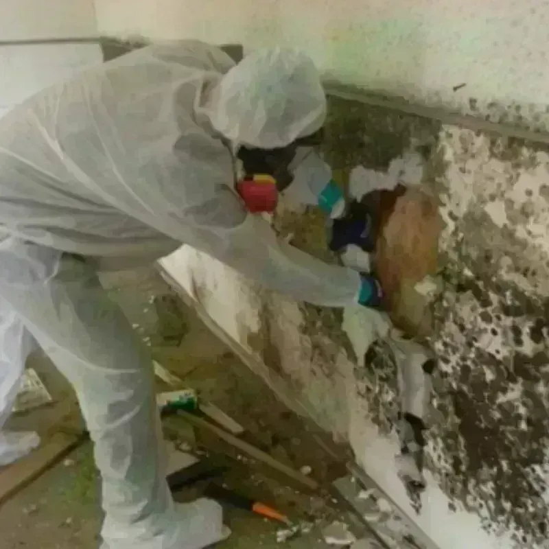 Mold Remediation and Removal in Centennial Park, AZ